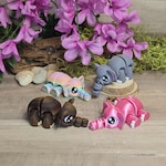 Elephant Accessories