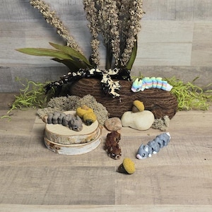 Puede incluir: Colección de figuras de orugas hechas a mano con arcilla polimérica en varios colores, incluyendo gris, marrón y arcoíris pastel. Algunas orugas están sobre una rodaja de madera, y otras cerca de bellotas y un tronco.
