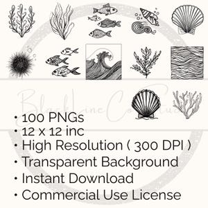 Puede incluir: Ilustraciones en blanco y negro de elementos marinos, como peces, conchas, algas y olas. La imagen incluye el texto: "100 PNG, 12 x 12 pulgadas, Alta resoluci&oacute;n (300 DPI), Fondo transparente, Descarga instant&aacute;nea, Licencia de uso comercial."