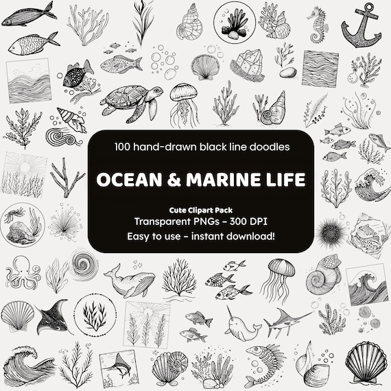 Ocean & Marine Life Clipart | 100 Hand-Drawn Black Line Doodles PNG | Icons for Crafters