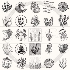 Puede incluir: Ilustraciones en blanco y negro de varios elementos marinos y oce&aacute;nicos. La imagen incluye dibujos de coral, conchas marinas, peces, un cangrejo, una medusa y una ola.