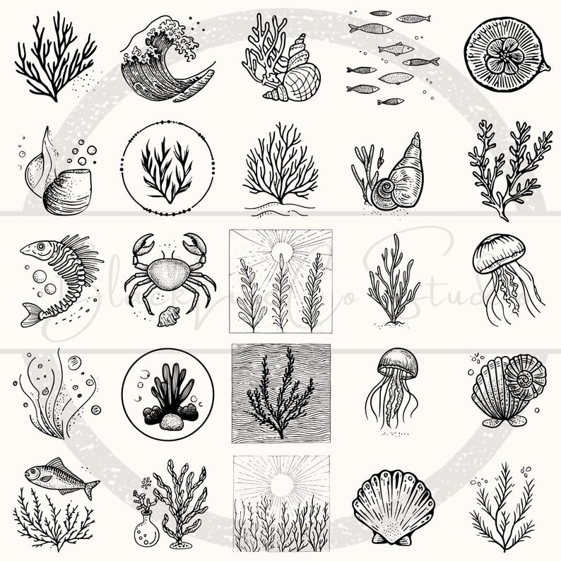 Puede incluir: Ilustraciones en blanco y negro de varios elementos marinos y oce&aacute;nicos. La imagen incluye dibujos de coral, conchas marinas, peces, un cangrejo, una medusa y una ola.