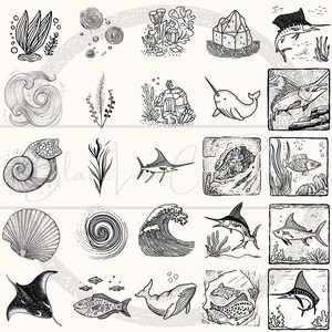 Puede incluir: Ilustraciones en blanco y negro de varias criaturas y elementos marinos. La imagen incluye dibujos de un narval, peces, una manta raya, una concha, corales y olas oce&aacute;nicas. El estilo recuerda al arte n&aacute;utico vintage.