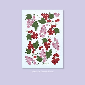 Postkarte Johannisbeere / DIN A6 / Geburtstag, Hochzeit, Glückwünsche, perfekt für alle Anlässe / Sommer, Pflanzen, Natur.