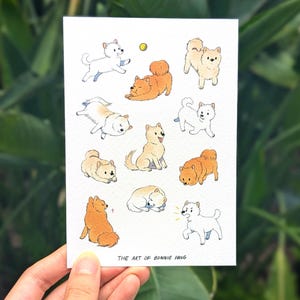 Pomeranian Postcard A6 | Cute fluffy barking dog white cream tan | Illustration & comic card prints