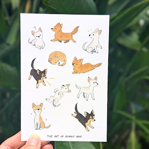 Chihuahua Postcard A6 | Bossy little dog shorthair longhair Chihuahua | Illustration & comic card prints