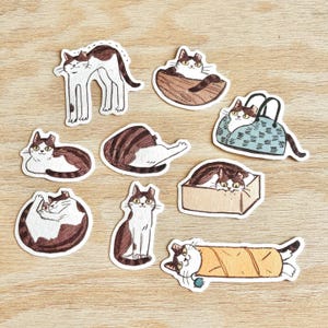 Niedliche Katze individuelle Sticker! lustige Miezekatze in verschiedenen Posen | Illustration bleistifte Papier stationär