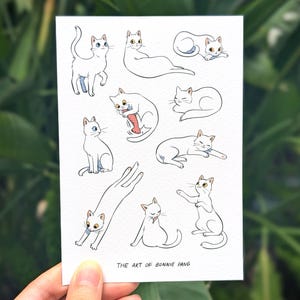 Cartolina con gatto bianco A6 / Stile principessa, simpatici gatti eleganti in varie pose