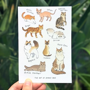 Cartolina di gatti assortiti