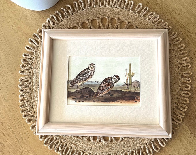 Vintage Owl Print / Framed Owl Art Print / Desert Wall Art Etsy