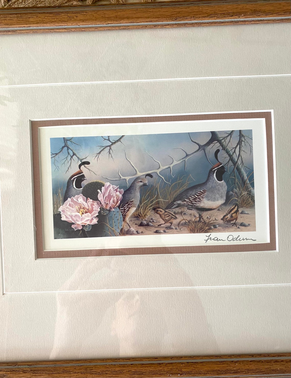 Vintage Quail Print / Quail Wall Art / Bird Artwork / Desert Etsy