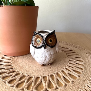 May include: A small ceramic owl-shaped planter featuring a white body with textured feather details, dark brown facial markings around the eyes, and bright yellow irises with black pupils. The top of the owl head is open for small plants.