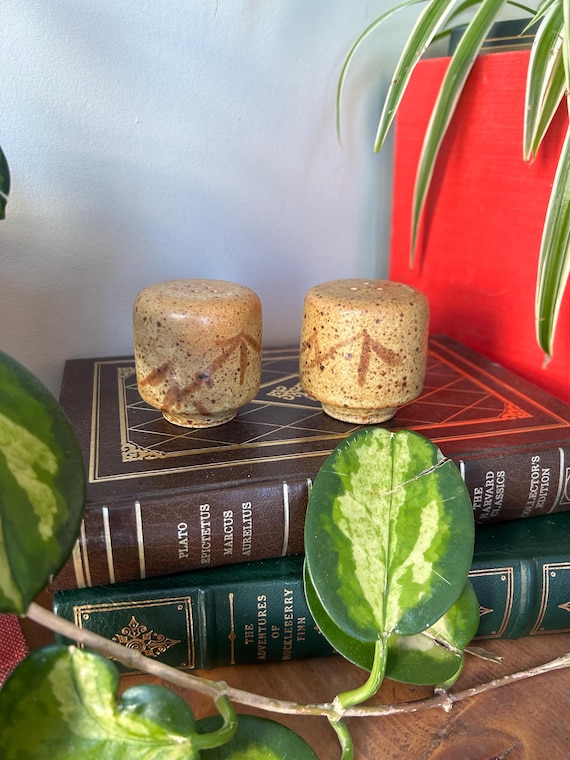 Vintage Japanese Stoneware Salt and Pepper Shakers: Mid-century