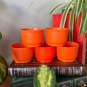 Può includere: Cinque vasi di plastica di colore arancione brillante, impilate l'una sull'altra, su una pila di libri antichi rilegati. I libri hanno titoli come "Platone", "Epicteto", "Marco Aurelio", "The Harvard Classics" e "Collector's Edition".