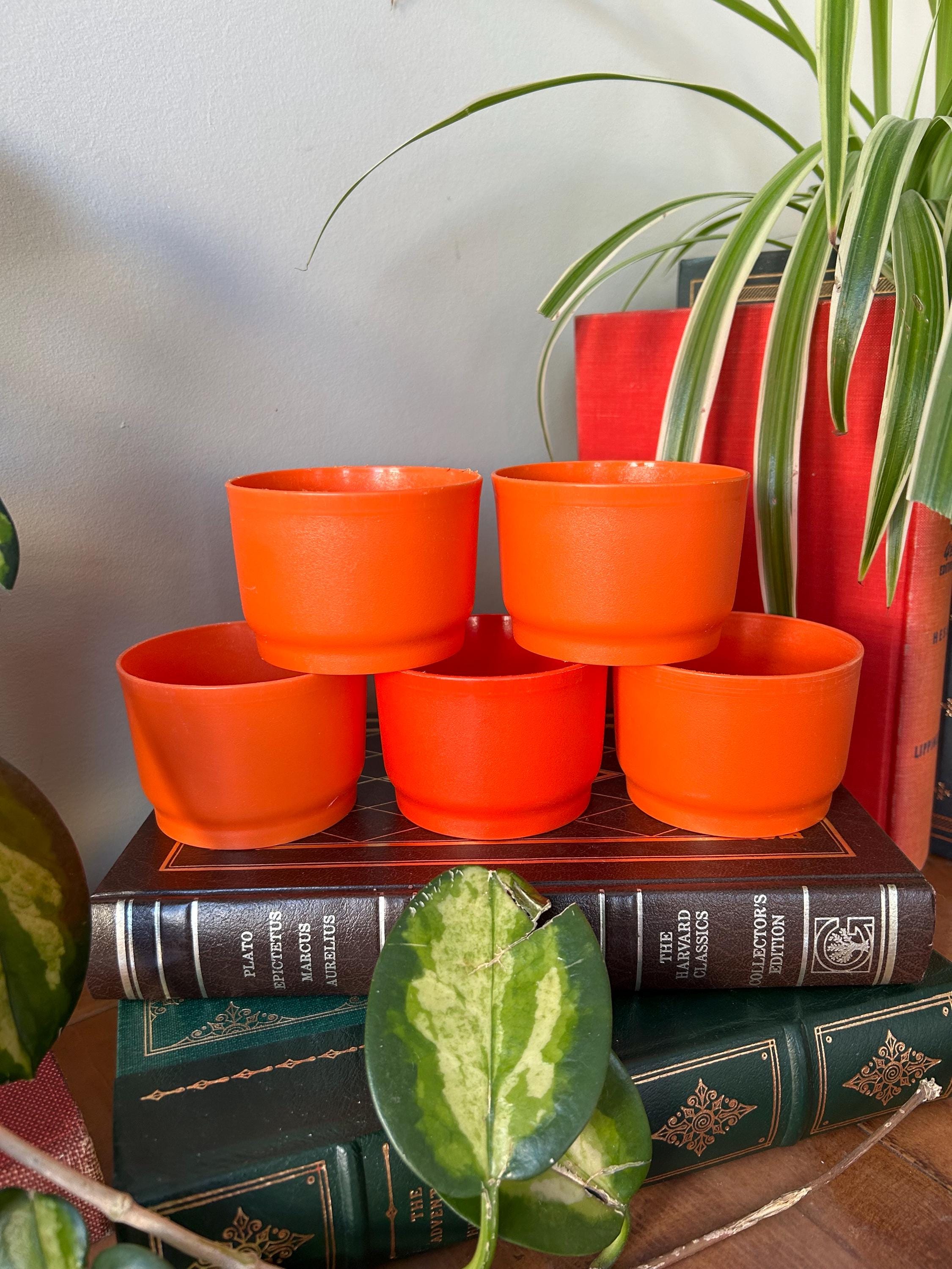 Tupperware 12点 Amazon | Tupperware S.S.ボウル密閉ストレージコンテナセット