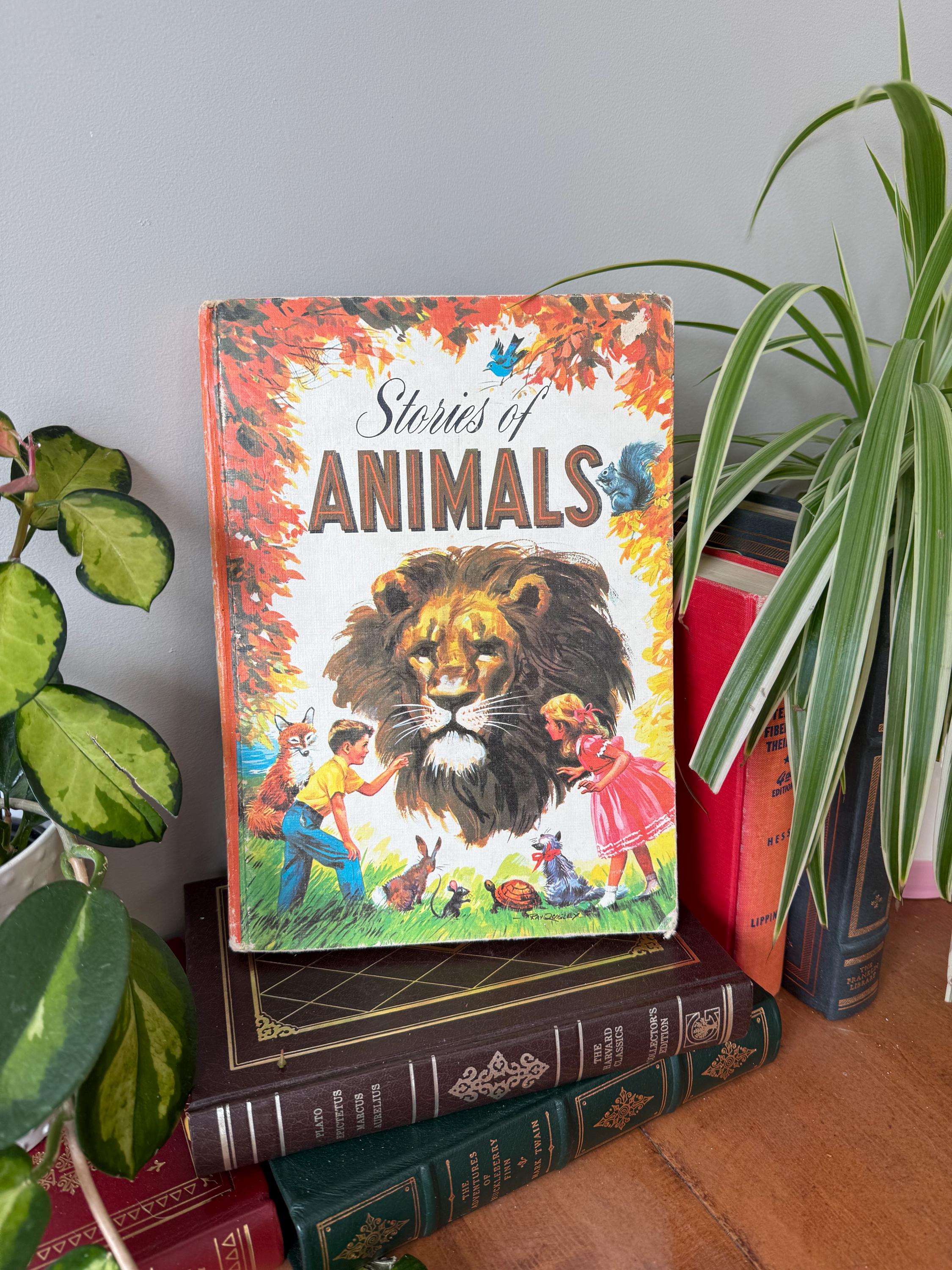 Vintage Stories of Animals – Hardcover Children's Book – Virginia