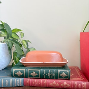 May include: A terracotta-colored ceramic butter dish with a rectangular base and a smooth, rounded lid. The dish features a simple, clean design with a slightly lighter rim around the edge of the base, providing a subtle contrast to the main body.
