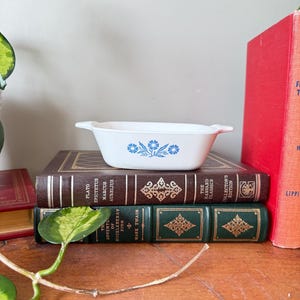 Könnte beinhalten: Eine weiße Keramik-Backform mit blauem Blumenmuster. Die Form steht auf einem Stapel Bücher.