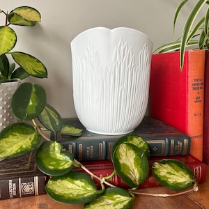 May include: White ceramic planter with a textured design resembling tall blades of grass. The planter is sitting on a stack of books.