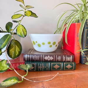 Puede incluir: Un tazón blanco para mezclar con lunares verdes se encuentra sobre una pila de libros antiguos de tapa dura. Los libros tienen títulos como "Las aventuras de Huckleberry Finn" y "Platón y Marco Aurelio".