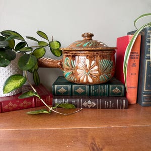 May include: A brown ceramic casserole dish with a lid, featuring a floral design in white and teal. The dish has a wooden handle and sits atop a stack of vintage books. Green plants and books are in the background.