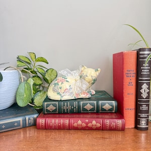 May include: A yellow ceramic cat figurine with floral patterns and a lace collar sits atop a stack of vintage books. The books have red, green, and dark blue covers. A houseplant is visible on the left.