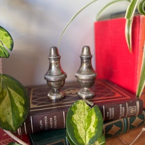 Vintage EP verzilverde peper- en zoutstelset