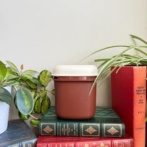 May include: A brown plastic container with a cream lid is placed on a stack of old books. The container is rectangular with rounded edges. The books are in various colours, including green and red, and are arranged on a wooden surface.
