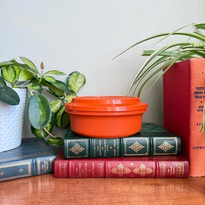 May include: An orange plastic container with a lid sits atop a stack of vintage books. The books are bound in red, green, and blue, with gold lettering. Green plants and a white pot are visible in the background.