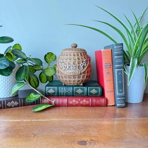 Può includere: Un barattolo per biscotti in ceramica beige con la scritta "Cookie Pot" in un disegno circolare. Il barattolo è sopra una pila di libri d'epoca con copertine verdi, rosse e blu. Piante verdi sullo sfondo.