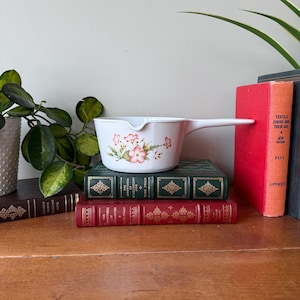 May include: White saucepan with a long handle and floral design in pink and green. The pan is placed on a stack of vintage books with green and red covers. A plant is visible on the left and right side of the image.