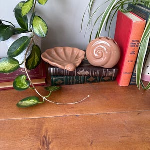 Vintage 1970er Jahre Vohann of California Taupe / Braun Seashell Badezimmer Dekor Set, mit Clamshell Seifenschale und Conch Shell Zahnbürstenhalter