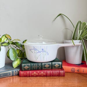 Peut inclure: Casserole blanche avec un couvercle en verre transparent et une longue poignée. La casserole présente un motif floral avec des iris violets. Elle repose sur une pile de livres anciens aux couvertures vertes et rouges.