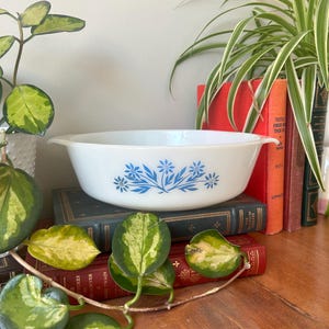 May include: A white ceramic baking dish with a blue floral pattern. The dish is sitting on a stack of books with a green plant in the foreground.