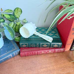 Könnte beinhalten: Ein weißes, schaufelförmiges Küchenutensil liegt auf einem Stapel antiker Bücher. Die Bücher sind in verschiedenen Farben gehalten, darunter Grün, Rot und Blau, mit goldener Schrift und dekorativen Mustern. Grünblättrige Pflanzen sind im Hintergrund.