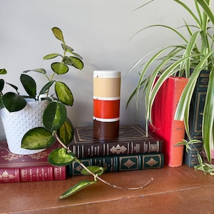 Könnte beinhalten: Ein brauner und weiß gestreifter zylindrischer Behälter mit einem roten Band. Der Behälter steht auf einem Stapel Bücher mit grünen und roten Einbänden. Im Hintergrund befinden sich zwei Topfpflanzen.