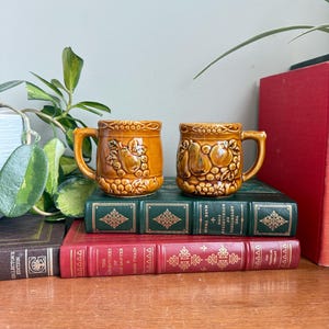 Peut inclure: Deux tasses en céramique avec des motifs de fruits dans les tons de marron et d'orange. Chaque tasse a une anse et est décorée de fruits et de feuilles en relief. Les tasses sont posées sur une pile de livres aux couvertures vertes et rouges.