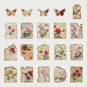 Lot de 40 visuels Botaniques Vintage -  Décoratifs en Papier à Bords Brûlés avec Illustrations de Fleurs colorés pour Scrapbooking.