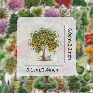Lot de 50 visuels  paysage forestier, silhouette d'arbres, pour album photo, ordinateur portable, pour scrapbooking collage.