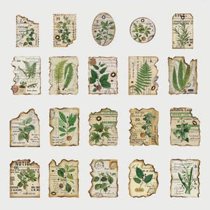 Confezione da 40 immagini botaniche vintage: carta decorativa con bordo bruciato e illustrazioni di piante storiche per scrapbooking.