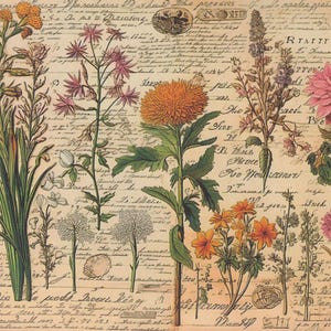 Vintage Floral Scrapbooking Paper Pack - 16 Sheets A5 Antique Botanical Style Craft Paper, Greeting Cards, Bristol Paper
