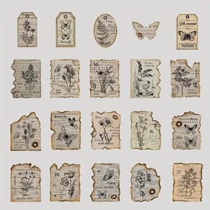 Confezione da 40 immagini botaniche vintage: carta decorativa con bordo bruciato e illustrazioni di piante storiche per scrapbooking.