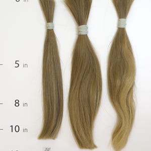 European hair 100 gr( 3.52 oz ). cut hair, raw hair, Light Blonde/Natural · Pure 10''-12'',virgin
