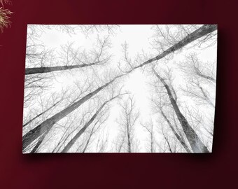 Tree Canvas Art, Tree Landscape, Black and White, Modern Wall Decor, Office Art Decor,  Canvas Wall Art, Framed Canvas Art, Home Art Decor