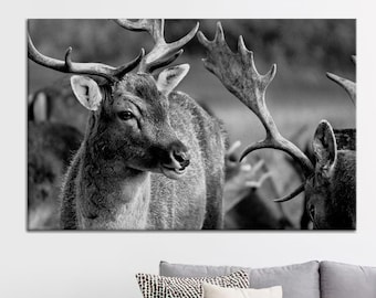 Deer Canvas Art, Deer Photo Decor, Wildlife Art Decor, Loft Wall Art, Wildlife Deer Art, Animal Poster Decor, Modern Canvas Art,