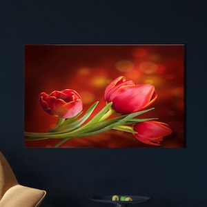 Tulip Canvas Art, Red Canvas Art, Tulip Lover Gift, Modern Canvas Decor, Red Tulip, Framed Canvas Art, Canvas Art Decor, Floral Canvas Art