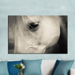 White Horse Canvas, Horse Art Decor, Horse Lover Gift, Man Cave, Office Wall Decor, Trendy Canvas Art, Framed Canvas Art, Wall Art Decor