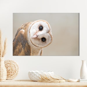 Owl Photo Art, Modern Wall Decor, Loft Art Decor, Contemporary, Owl Lover Gift, Owl Canvas Decor, Animal Poster Art, Home Decor Wall Art