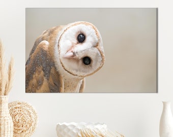 Owl Photo Art, Modern Wall Decor, Loft Art Decor, Contemporary, Owl Lover Gift, Owl Canvas Decor, Animal Poster Art, Home Decor Wall Art