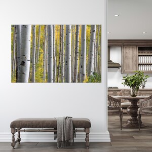 Birch Grove Art, canvaskunst bos, boommuurdecor, boomlandschap, boerderijdecor, ingelijste canvaskunst, moderne canvaskunst, canvaskunst